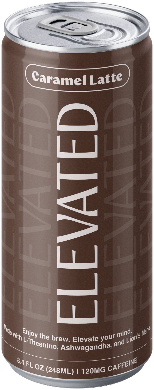Elevated Caramel Latte Can